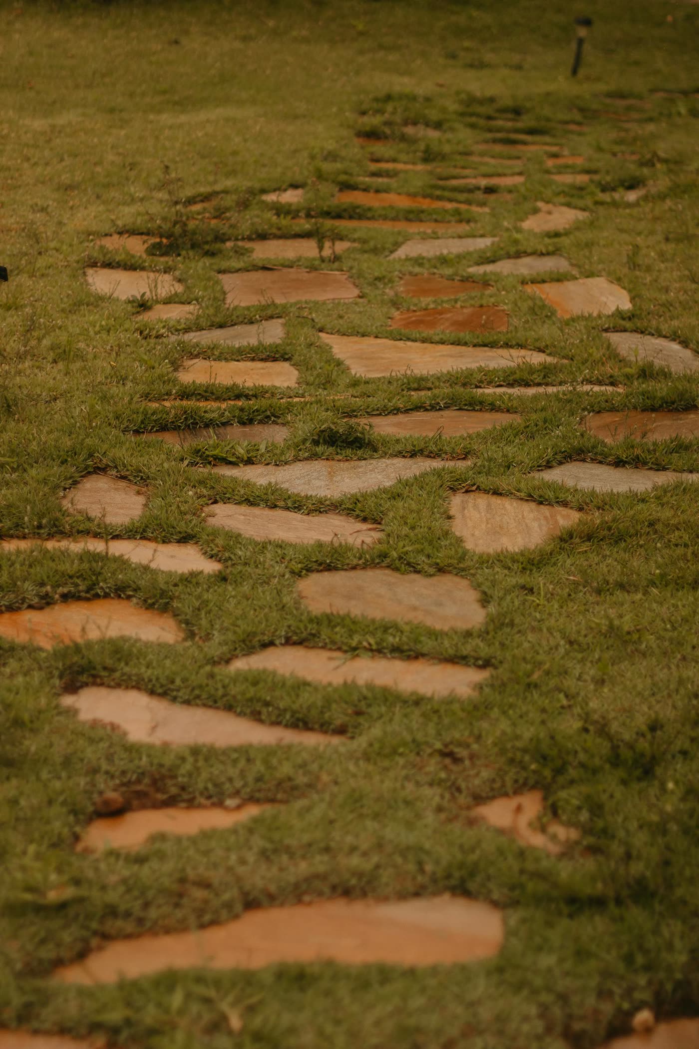 Stone walkway path through a garden