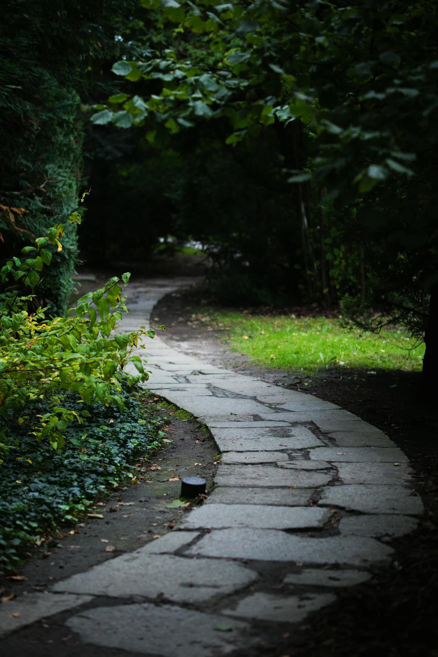 Hatfield rear-garden walkway
